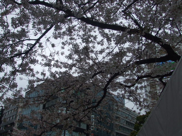 寒かったー!_e0119092_11223167.jpg