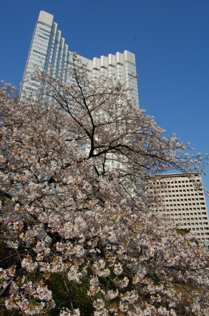 b0062495_19345278.jpg