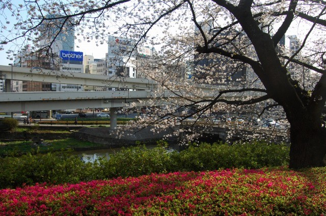 b0062495_19375823.jpg