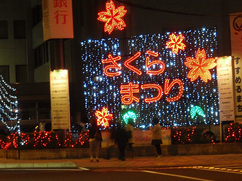 夜桜（津山市　鶴山公園）_d0103199_138482.jpg