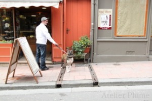 フランス旅行 オンフルール_e0154202_122408.jpg