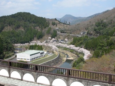 c0036203_18171424.jpg
