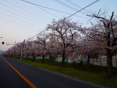 f0197504_1552764.jpg