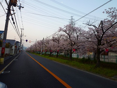 f0197504_155575.jpg