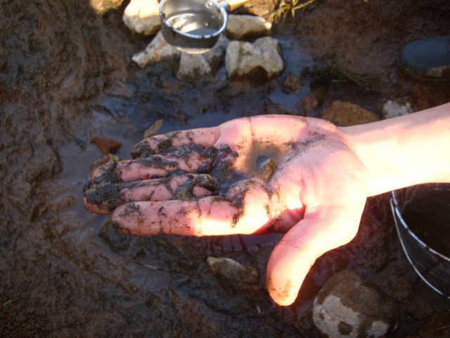 e0175905_20555449.jpg