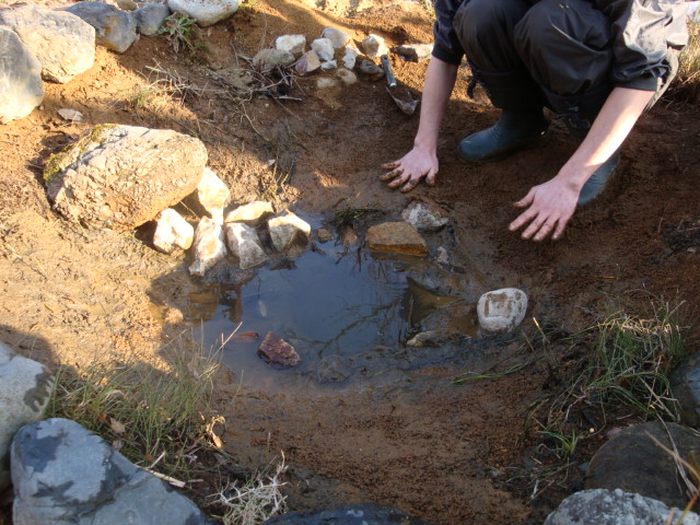 e0175905_2122632.jpg