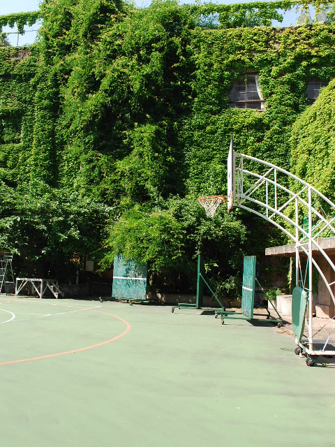 東京都台東区立旧下谷小学校(昭和モダン建築探訪)_f0142606_19113228.jpg