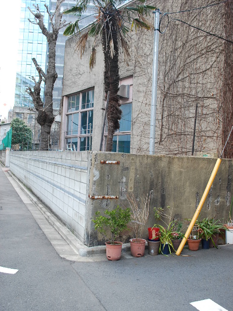 東京都台東区立旧下谷小学校(昭和モダン建築探訪)_f0142606_1932493.jpg