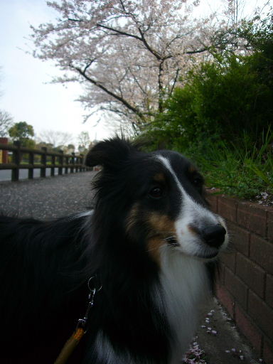 e0130008_2292857.jpg