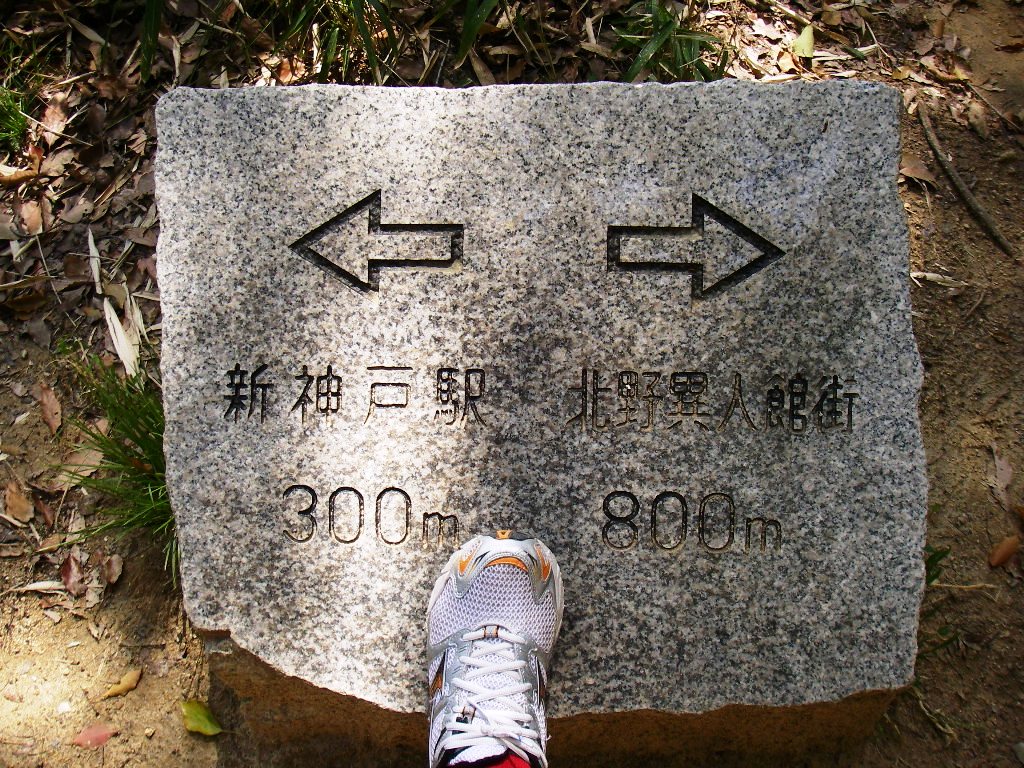 10.04.06(火) 六甲ハイキング_a0062810_21152640.jpg