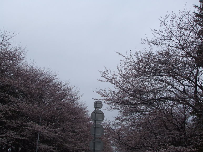 c0143812_2056692.jpg