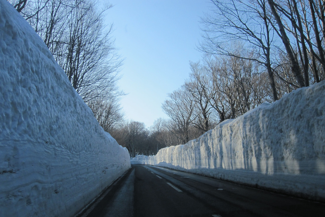 f0223313_1105674.jpg