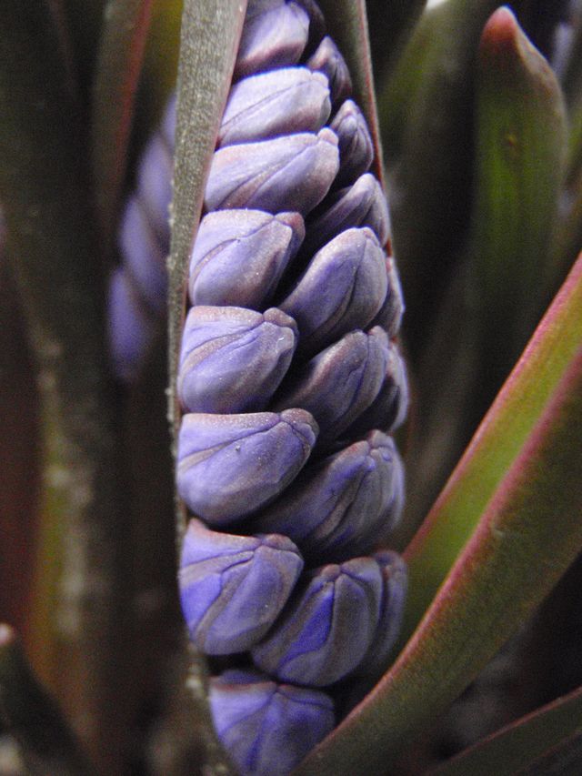 春や春_c0025115_201151.jpg