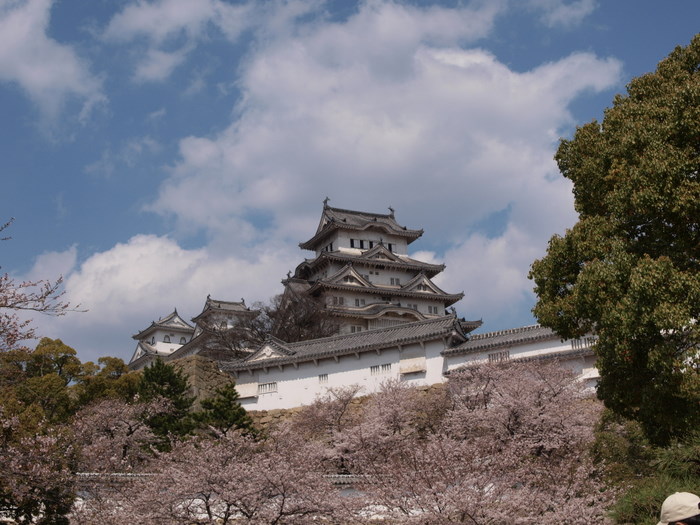 ４月３日～４日姫路城＆淡路島_c0116915_010231.jpg
