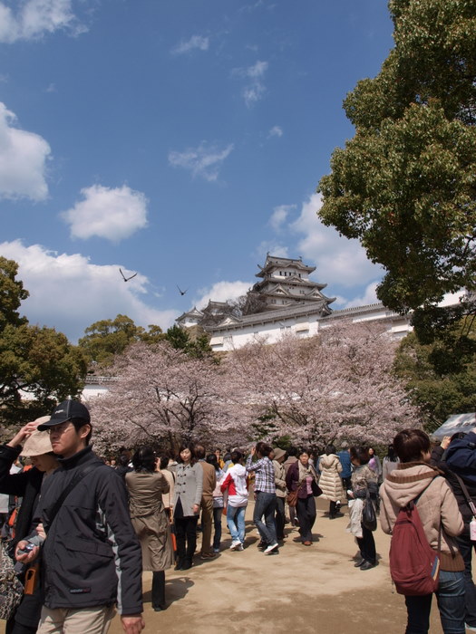 ４月３日～４日姫路城＆淡路島_c0116915_0103845.jpg