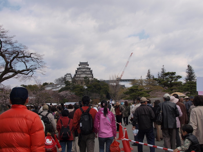 ４月３日～４日姫路城＆淡路島_c0116915_041776.jpg