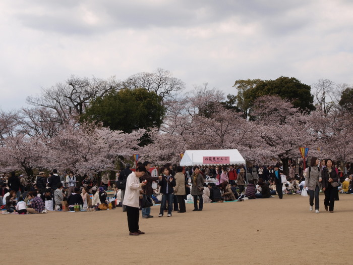 ４月３日～４日姫路城＆淡路島_c0116915_062035.jpg