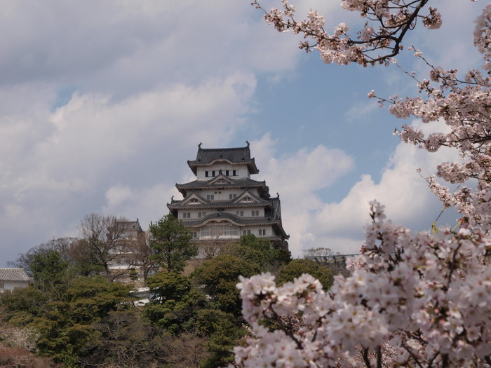 ４月３日～４日姫路城＆淡路島_c0116915_072454.jpg
