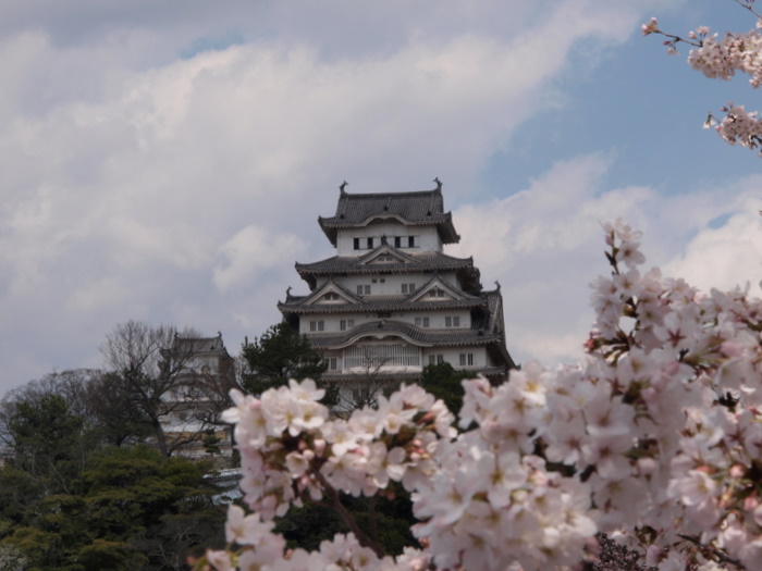 ４月３日～４日姫路城＆淡路島_c0116915_07409.jpg