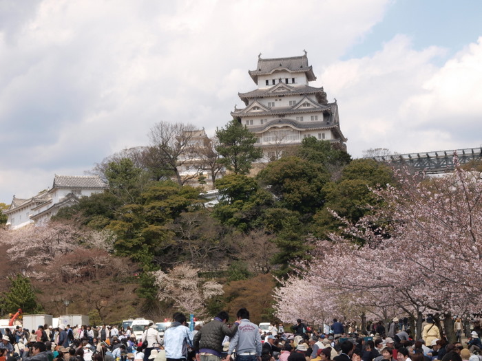 ４月３日～４日姫路城＆淡路島_c0116915_075435.jpg