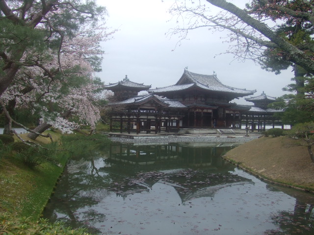 花の雨。リベンジ～～in京都_c0107118_22354032.jpg