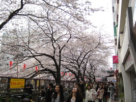 c0214320_23164077.jpg