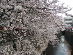 c0214320_23202432.jpg