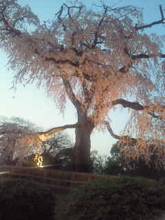 f0156720_026390.jpg