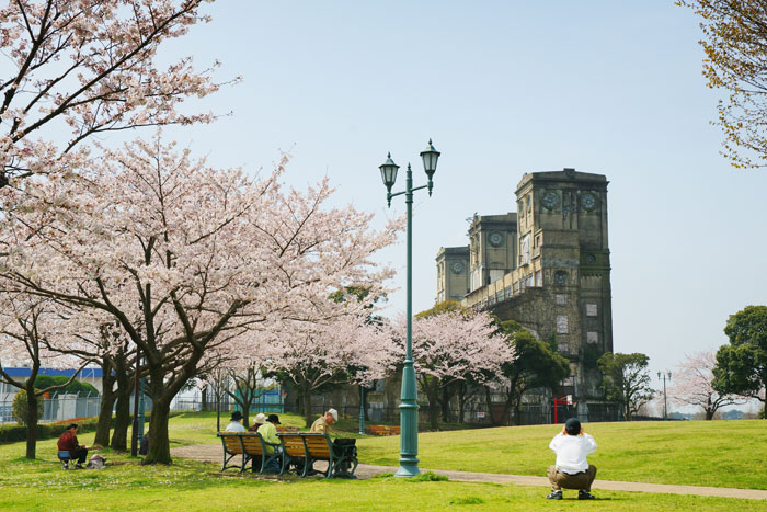 根岸森林公園　桜山_e0077521_20575394.jpg