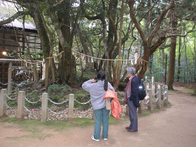 ２０１０春　関西のたび③　～天橋立　_b0138522_11151386.jpg