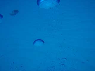 f0022222_23455619.jpg