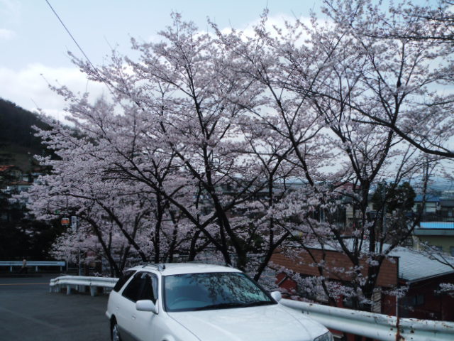 この道_c0155326_23274522.jpg