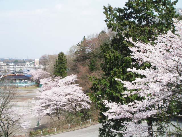 この道_c0155326_23295017.jpg