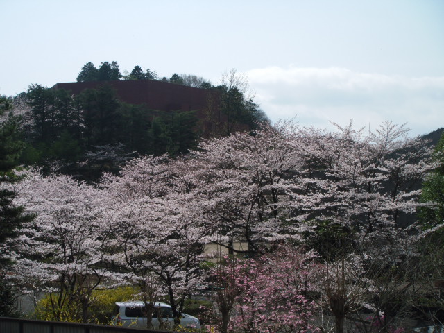 この道_c0155326_23312861.jpg