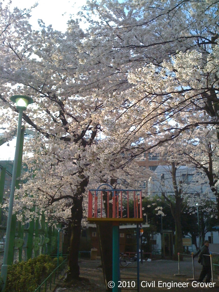 f0106727_1251420.jpg