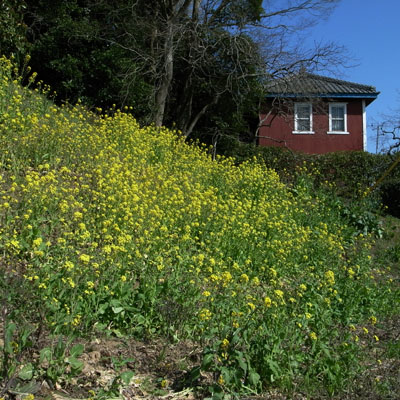 c0182231_2004954.jpg