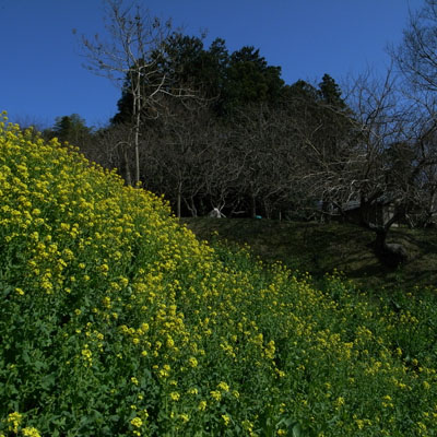 c0182231_201030.jpg