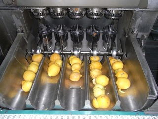 ユーロフード、シチリアンレモン果汁製造、立ち会い。_c0157832_1931877.jpg