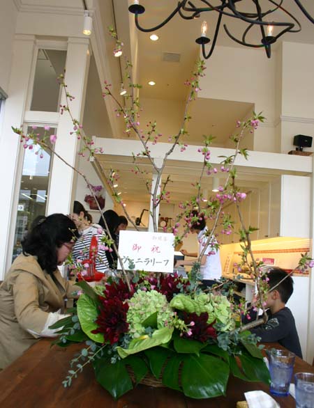 セカンドハウス イオンモール京都ハナ店 Open_e0074935_1661630.jpg