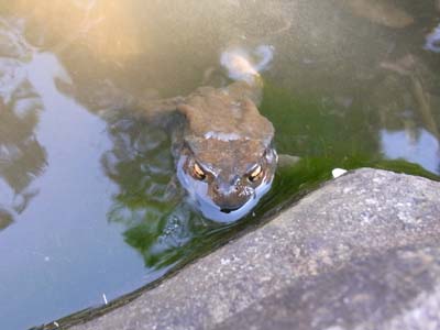 花の香りを求めて、福島まで小さな旅に出た。_b0019140_140093.jpg