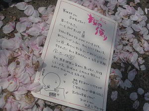 桜がきれいです。_b0087842_13331688.jpg