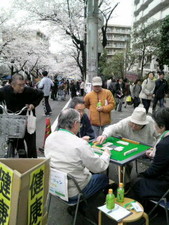 ゆる～い桜祭り_e0060542_105499.jpg