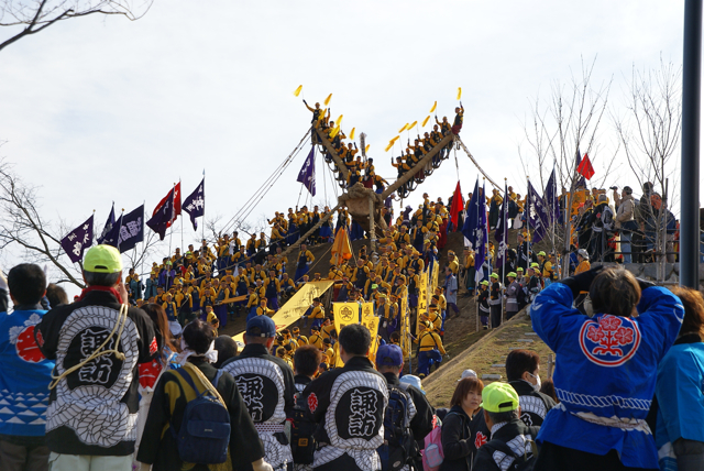 諏訪大社御柱祭１_c0190847_21242678.jpg