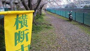 c0200849_947896.gif