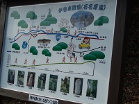 d0048350_17262875.jpg