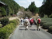 d0048350_1730535.jpg