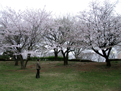 d0084750_19554017.jpg