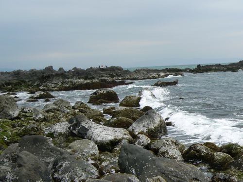 c0180851_1728418.jpg
