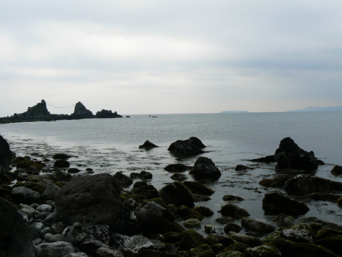 c0180851_1729469.jpg