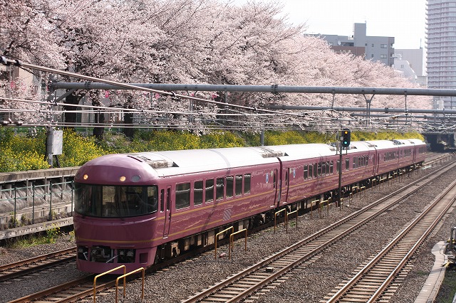 【4月4日】満開の東中野の桜の下を行く列車_b0002858_1285068.jpg